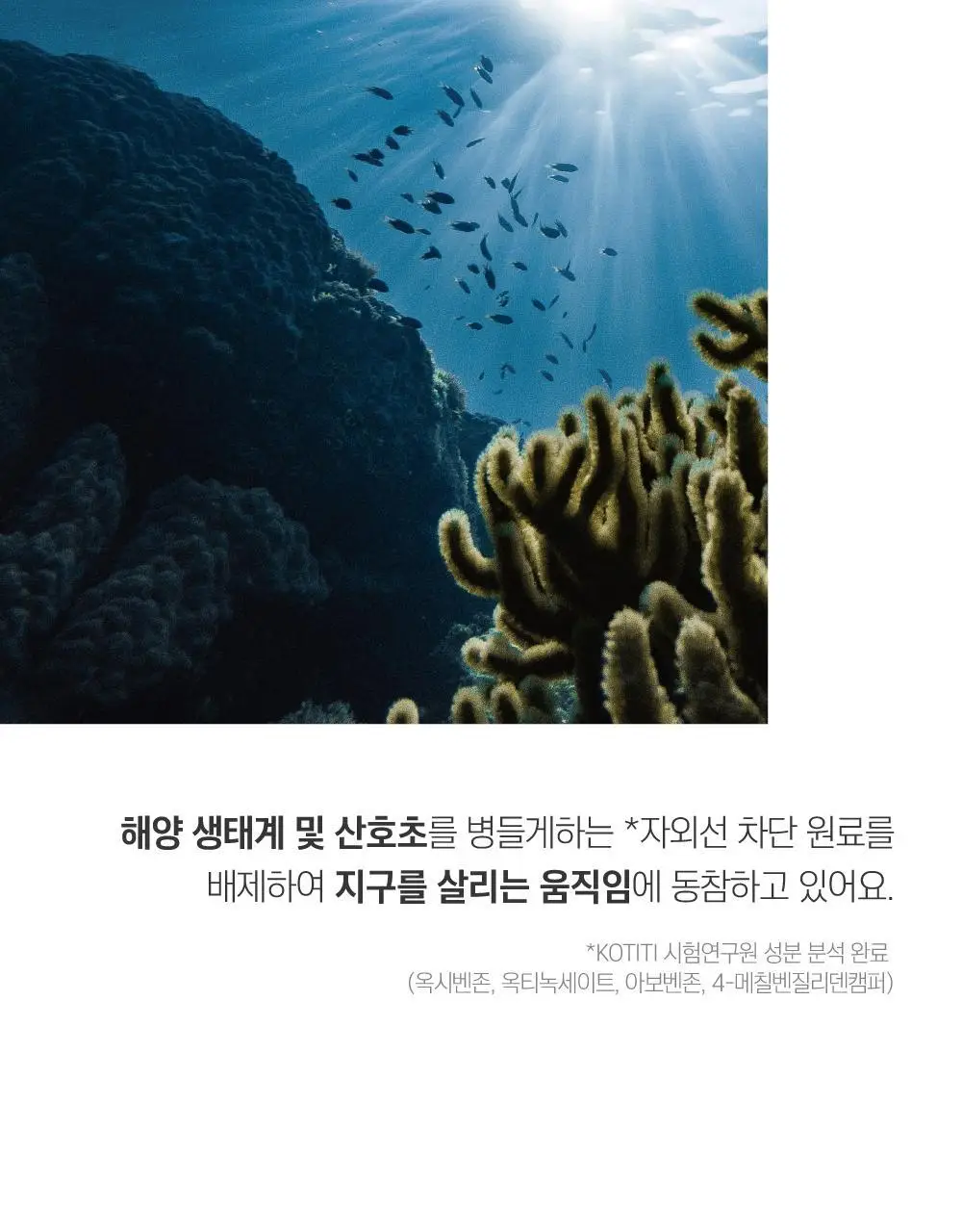 [NEW/민감진정] 라운드랩 소나무 진정 시카 무기자차 선크림 40ml 기획 (+소나무 클렌저 10ml) 상세페이지 15